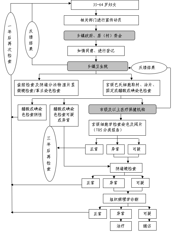 90 組織病理學檢查 陰道鏡檢查異常人群(按50%比率測算)